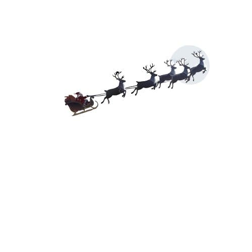 Reindeer flying across the sky
