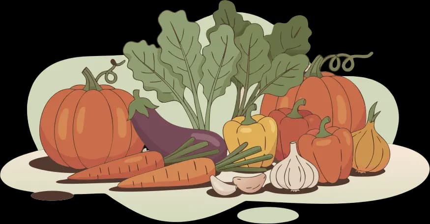 Organic Geometric Illustrations example 4